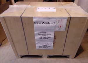New Zealand Enterosgel Thermo protection in the Clappy boxes